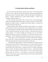 Pensijiniai fondai Lietuvoje: valdymo problemos ir įtaka valstybės finansams 11 puslapis