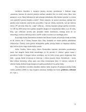 Pensijiniai fondai Lietuvoje: valdymo problemos ir įtaka valstybės finansams 12 puslapis