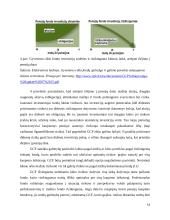 Pensijiniai fondai Lietuvoje: valdymo problemos ir įtaka valstybės finansams 15 puslapis