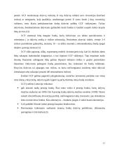 Pensijiniai fondai Lietuvoje: valdymo problemos ir įtaka valstybės finansams 16 puslapis