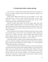 Pensijiniai fondai Lietuvoje: valdymo problemos ir įtaka valstybės finansams 17 puslapis