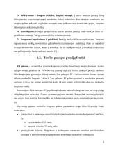 Pensijiniai fondai Lietuvoje: valdymo problemos ir įtaka valstybės finansams 8 puslapis