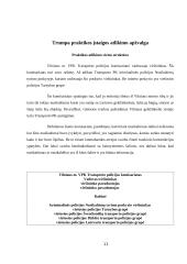 Policijos vieta teisėsaugos institucijų sistemoje 11 puslapis