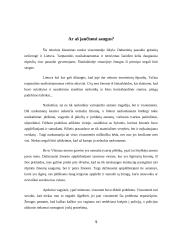 Policijos vieta teisėsaugos institucijų sistemoje 9 puslapis