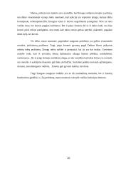 Policijos vieta teisėsaugos institucijų sistemoje 10 puslapis