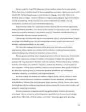 Amžius ir senėjimo problema šiuolaikinėje visuomenėje 13 puslapis