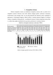 Elektros energijos tiekimas 2 puslapis