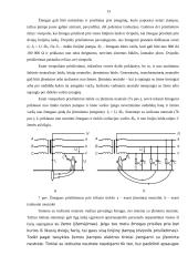 Elektros energijos tiekimas 16 puslapis