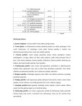 Įmonių steigimas, organizavimas ir valdymas 14 puslapis