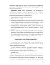 Įmonių steigimas, organizavimas ir valdymas 9 puslapis