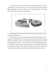 Įvaizdžio analizė: pramogų klubas "Mega" 12 puslapis