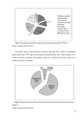 Įvaizdžio analizė: pramogų klubas "Mega" 13 puslapis