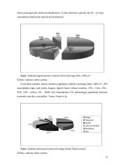 Įvaizdžio analizė: pramogų klubas "Mega" 15 puslapis
