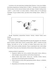 Įvaizdžio analizė: pramogų klubas "Mega" 16 puslapis