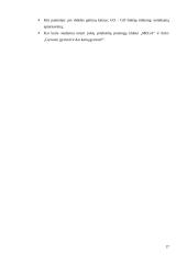 Įvaizdžio analizė: pramogų klubas "Mega" 17 puslapis