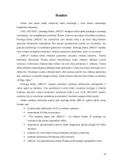 Įvaizdžio analizė: pramogų klubas "Mega" 18 puslapis