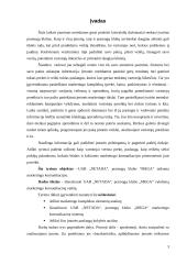 Įvaizdžio analizė: pramogų klubas "Mega" 3 puslapis