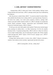 Įvaizdžio analizė: pramogų klubas "Mega" 5 puslapis