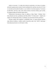 Įvaizdžio analizė: pramogų klubas "Mega" 9 puslapis