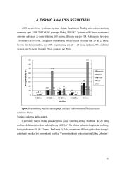 Įvaizdžio analizė: pramogų klubas "Mega" 10 puslapis