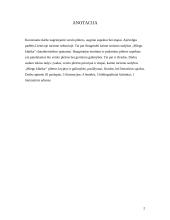 Kaimo turizmo sodybos plėtra: "Miego klinika" 2 puslapis