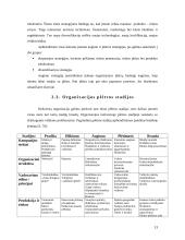 Kaimo turizmo sodybos plėtra: "Miego klinika" 13 puslapis