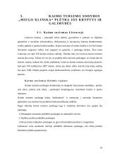 Kaimo turizmo sodybos plėtra: "Miego klinika" 16 puslapis