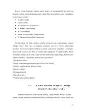 Kaimo turizmo sodybos plėtra: "Miego klinika" 17 puslapis