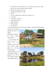 Kaimo turizmo sodybos plėtra: "Miego klinika" 19 puslapis