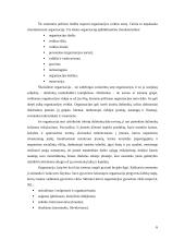 Kaimo turizmo sodybos plėtra: "Miego klinika" 6 puslapis