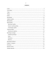 Marketingo planas: kavinė "Arena Pizza" 2 puslapis