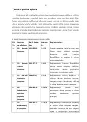 Marketingo planas: kavinė "Arena Pizza" 14 puslapis