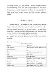 Marketingo planas: kavinė "Arena Pizza" 16 puslapis