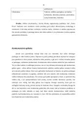 Marketingo planas: kavinė "Arena Pizza" 17 puslapis