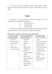 Marketingo planas: kavinė "Arena Pizza" 5 puslapis