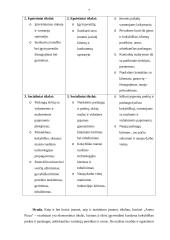 Marketingo planas: kavinė "Arena Pizza" 6 puslapis