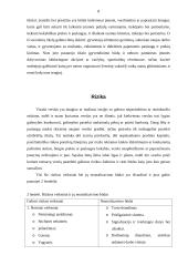 Marketingo planas: kavinė "Arena Pizza" 7 puslapis