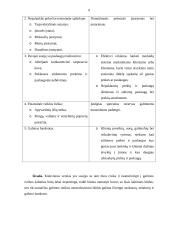 Marketingo planas: kavinė "Arena Pizza" 8 puslapis