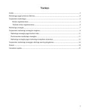 Marketingo strategija skirta eksportui 2 puslapis