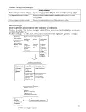 Marketingo strategija skirta eksportui 13 puslapis