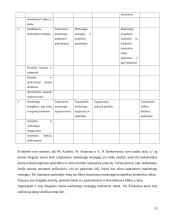 Marketingo strategija skirta eksportui 15 puslapis