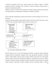 Marketingo strategija skirta eksportui 16 puslapis