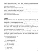 Marketingo strategija skirta eksportui 18 puslapis