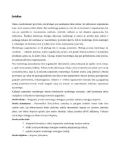 Marketingo strategija skirta eksportui 3 puslapis