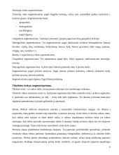 Marketingo strategija skirta eksportui 6 puslapis