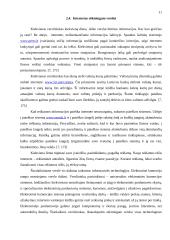 Organizacijos informacijos poreikiai 11 puslapis