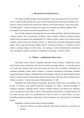 Organizacijos informacijos poreikiai 13 puslapis