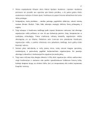 Organizacijos informacijos poreikiai 17 puslapis