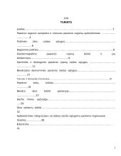 Pasienio regionų ekonominės problemos 2 puslapis