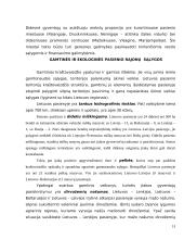 Pasienio regionų ekonominės problemos 13 puslapis